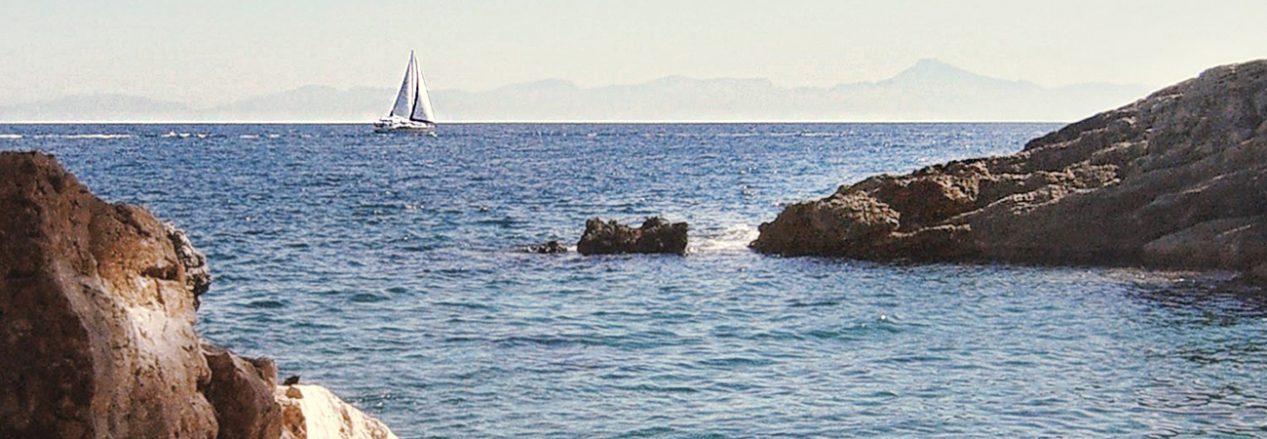 Omogenia HumanStories